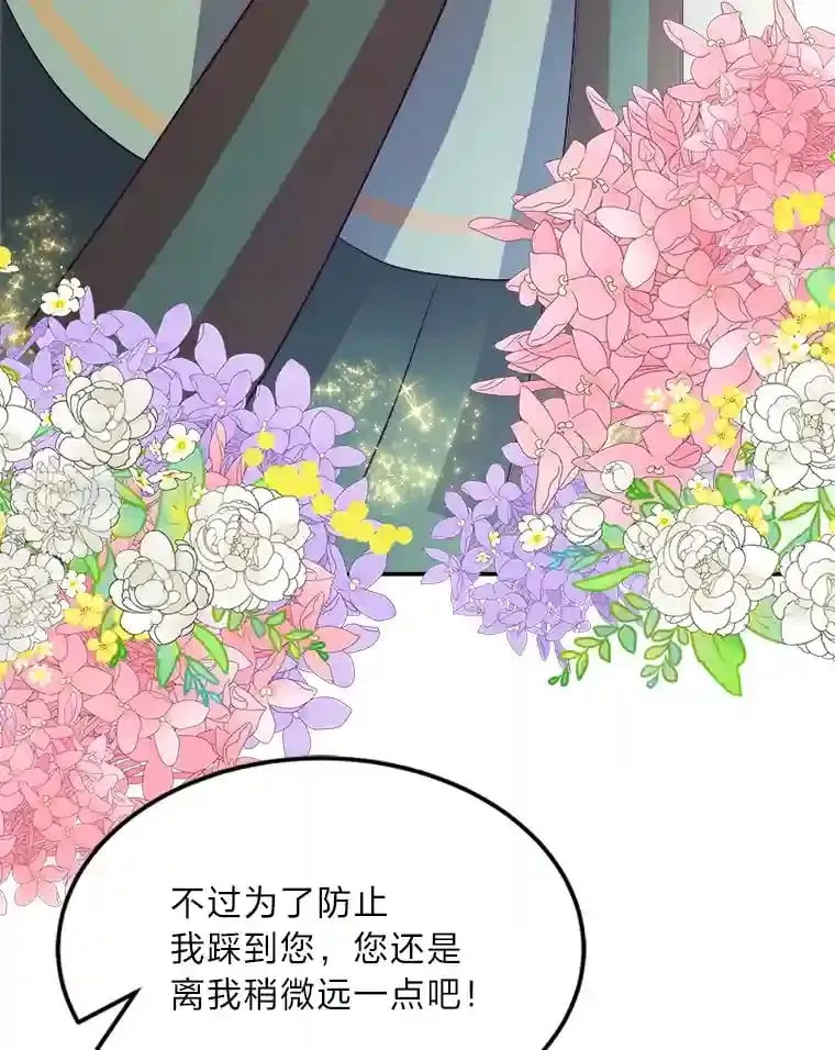 33.近一点的舞蹈 第73页