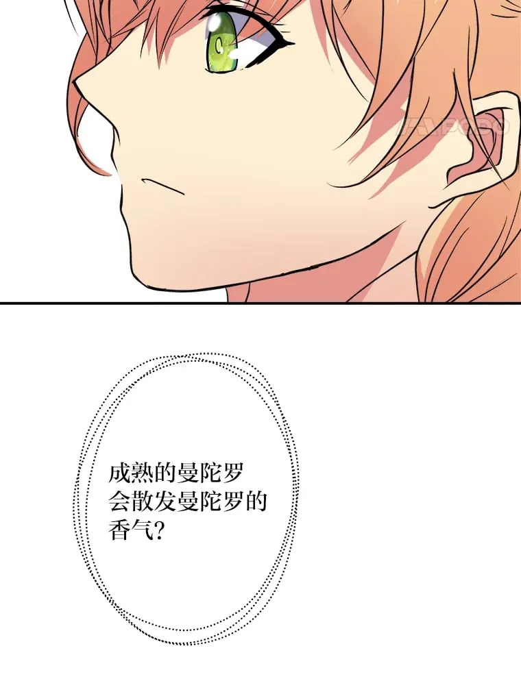 40.寻找灵感 第87页