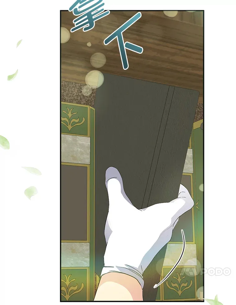 48.特别版礼物 第41页