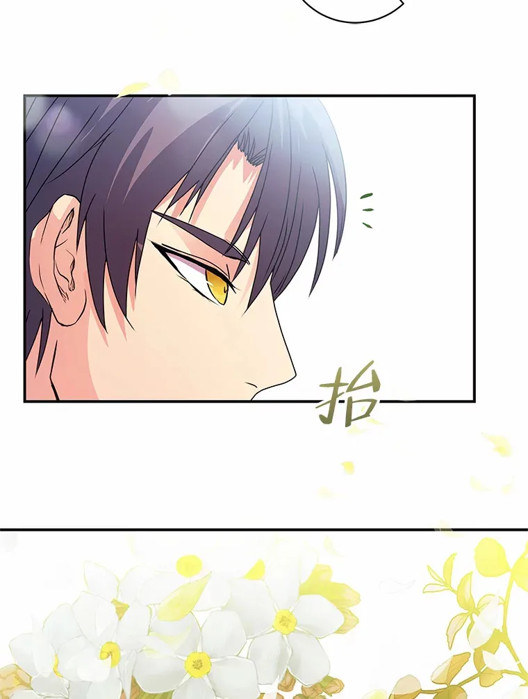 50.书的来历 第61页