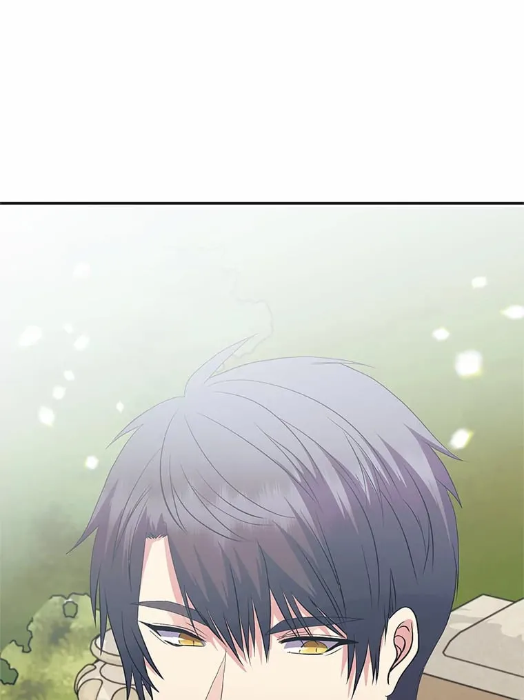 50.书的来历 第204页
