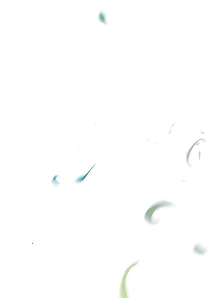 52.即将暴露 第1页