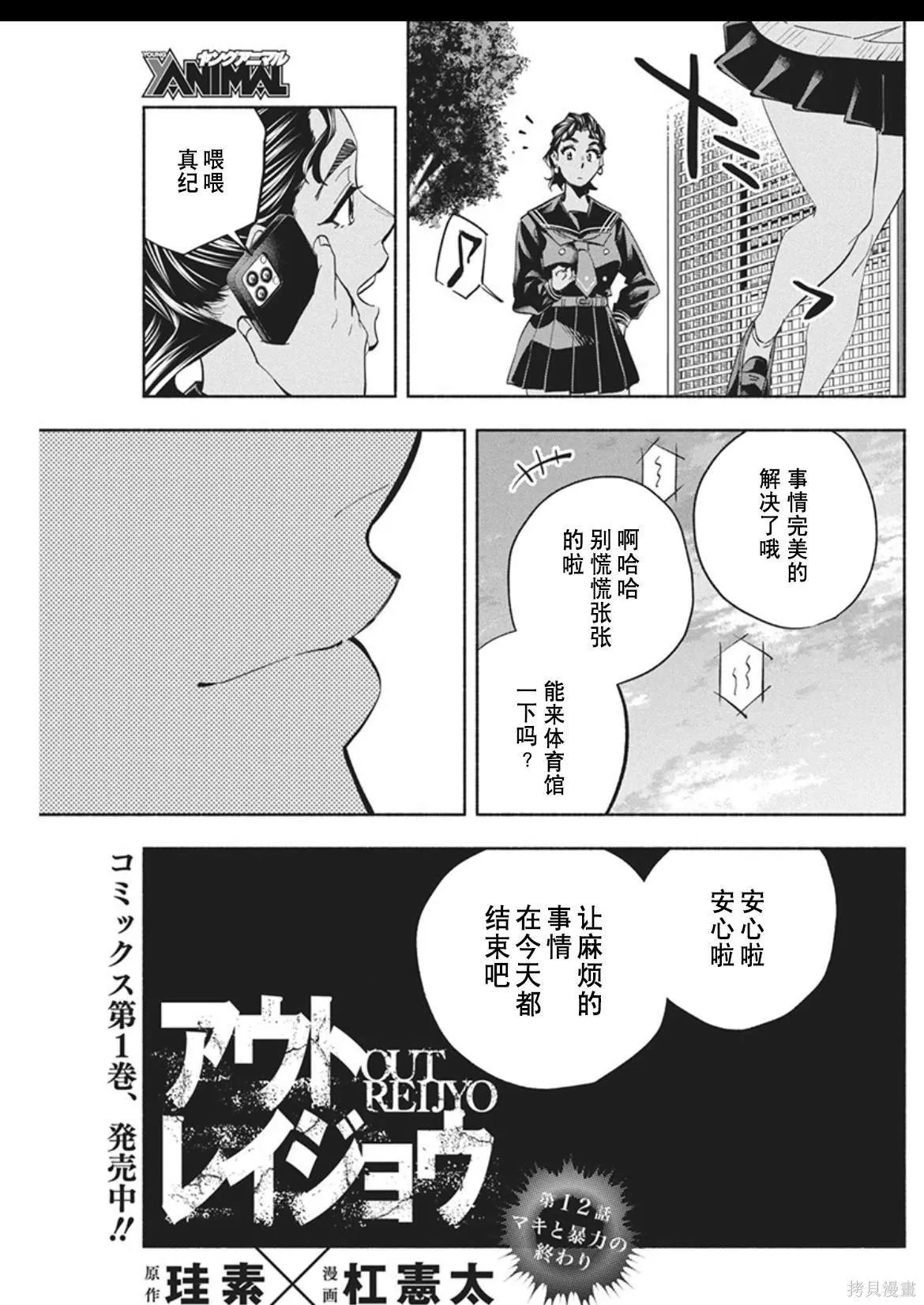 12 第3页