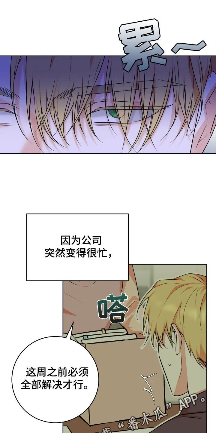 第24章：原因只有一个 第1页
