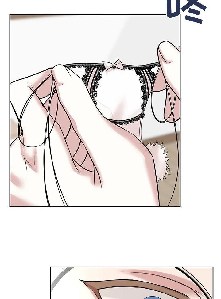 第32章：私密物品 第17页