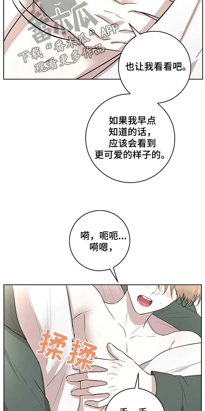 第41章：决定 第5页