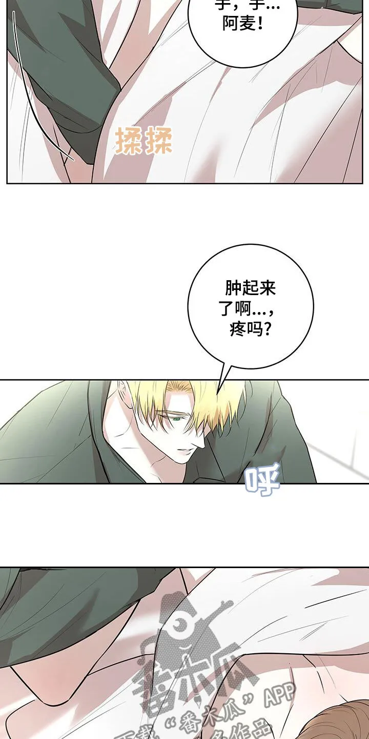 第41章：决定 第6页