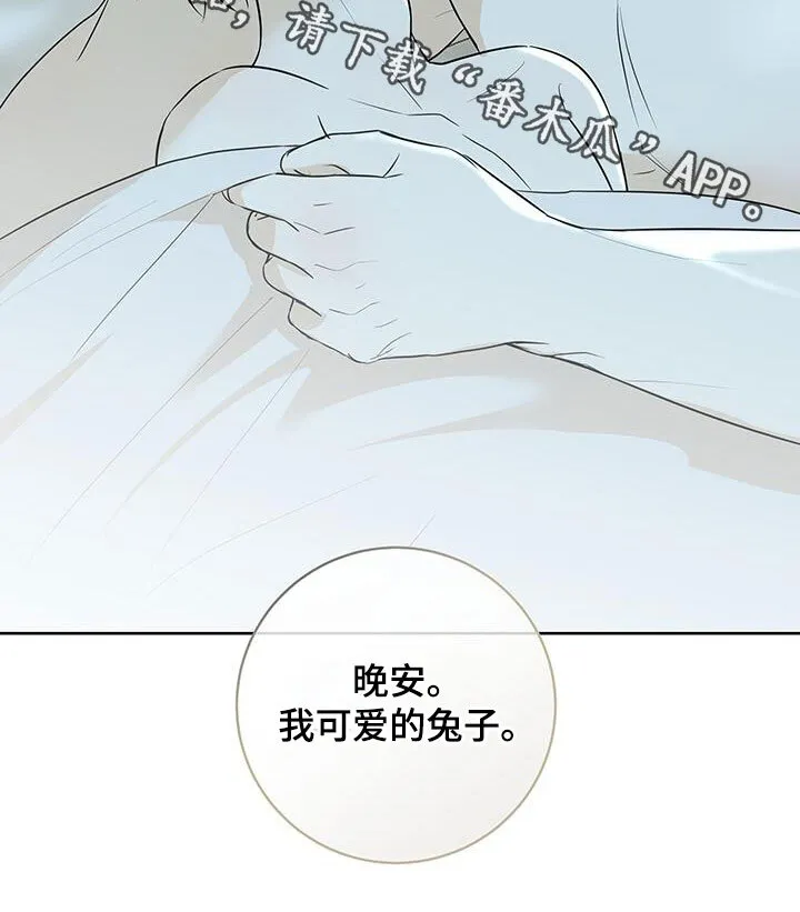 第41章：决定 第23页