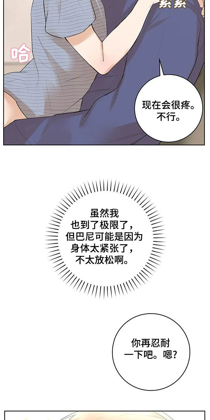 第44章：特别的相遇（完结） 第14页