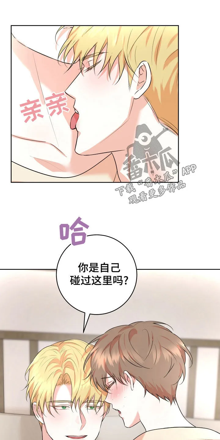 第46章：【番外】一只小熊 第16页