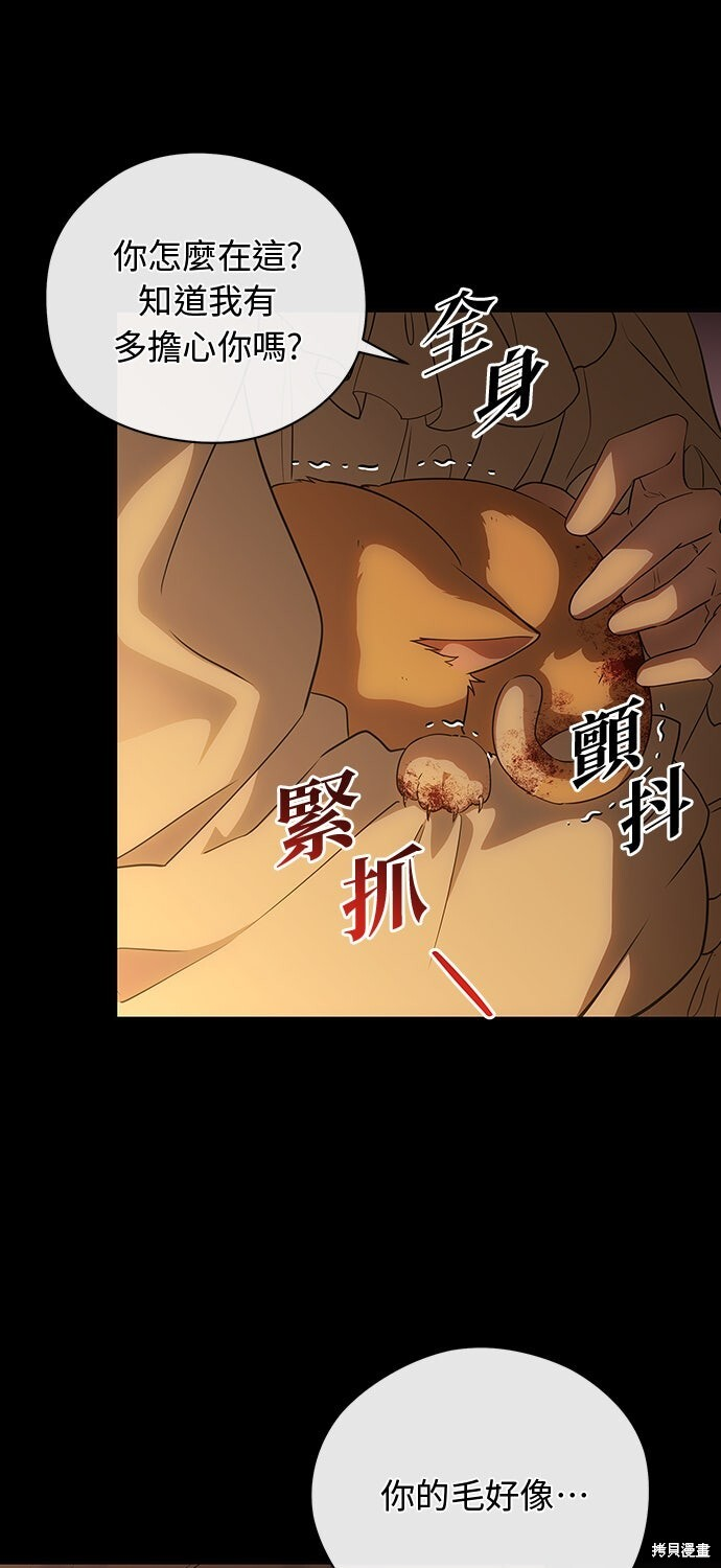 第57话 第41页
