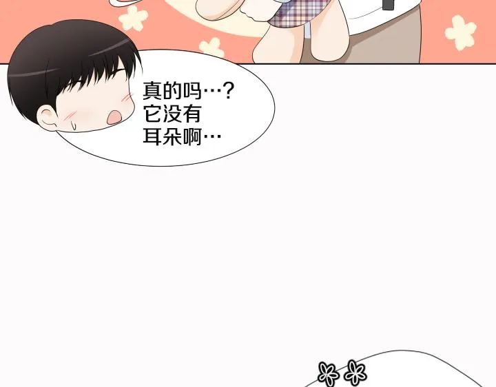 第25话 没耳朵的小熊 第17页