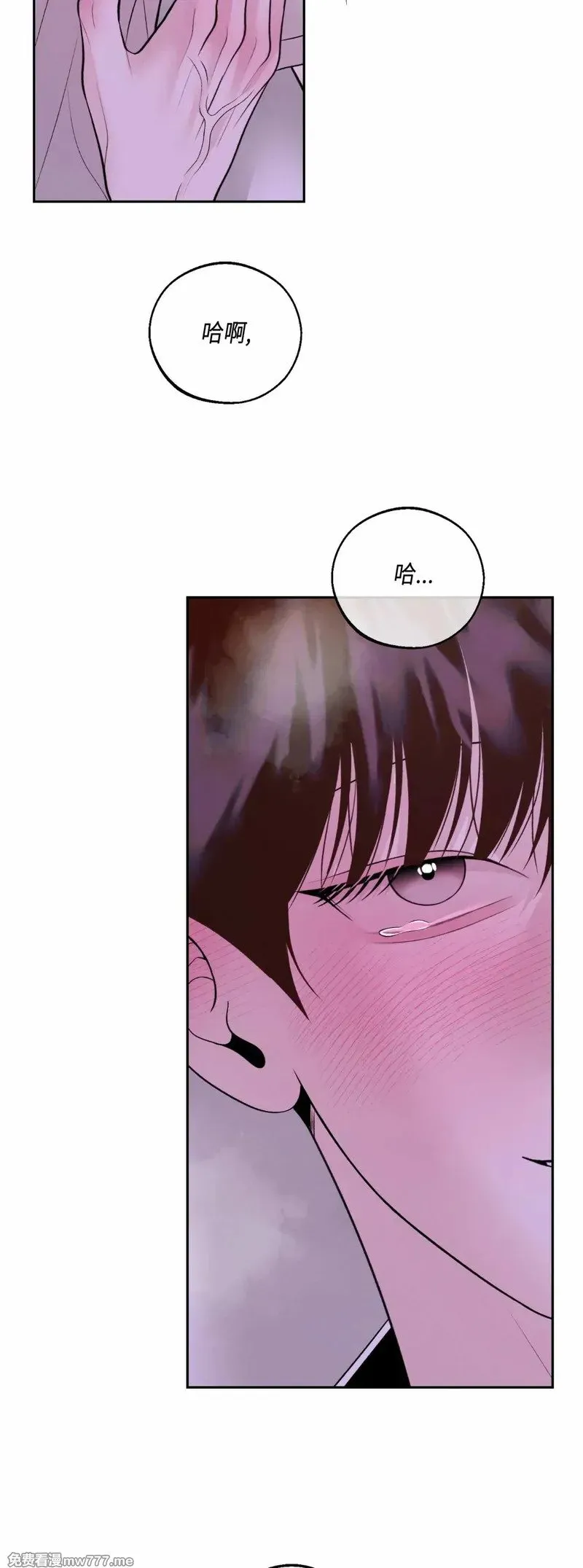 第37话 第51页