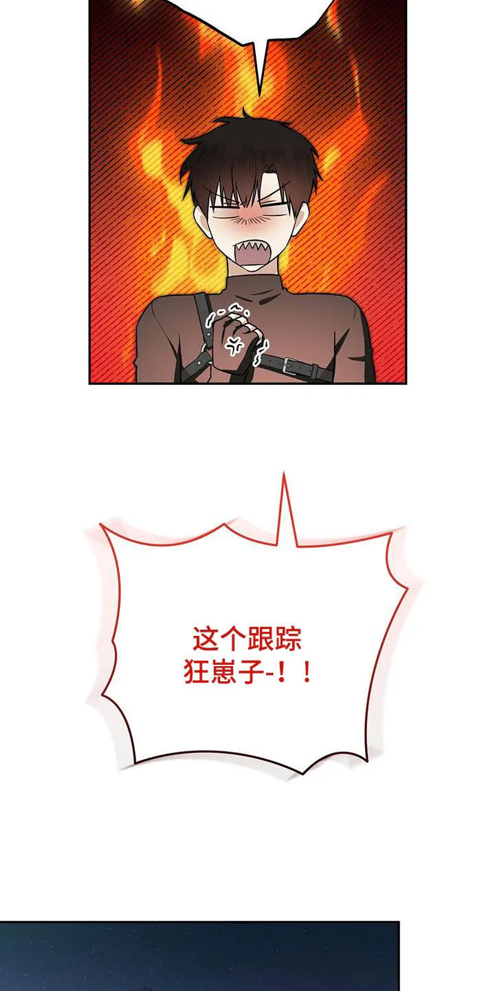 第29章：跟踪狂 第16页