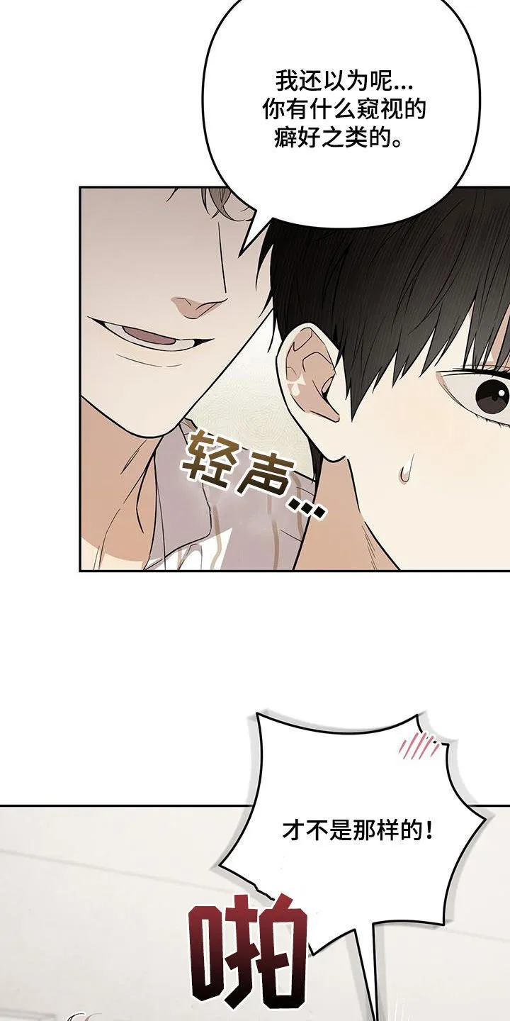 第41章：很喜欢 第2页