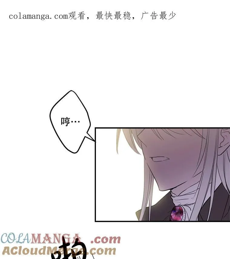 5.布鲁珀特公爵 第1页