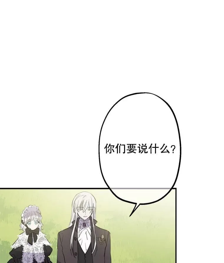 5.布鲁珀特公爵 第6页