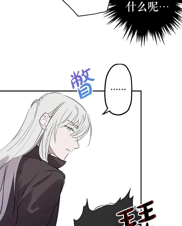 5.布鲁珀特公爵 第17页
