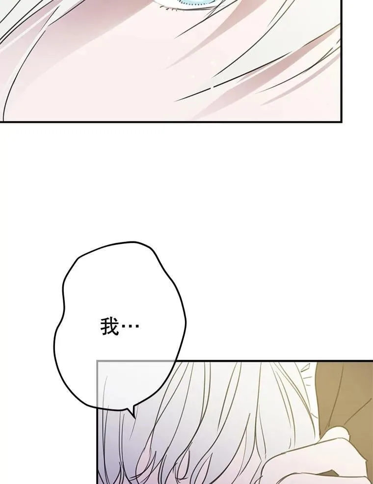 5.布鲁珀特公爵 第27页