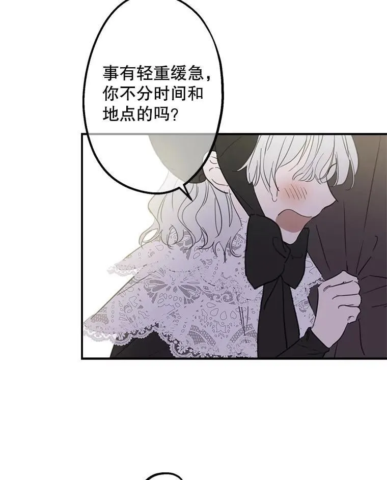 5.布鲁珀特公爵 第35页