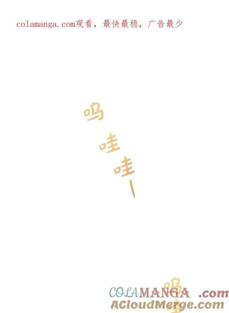 5.布鲁珀特公爵 第69页