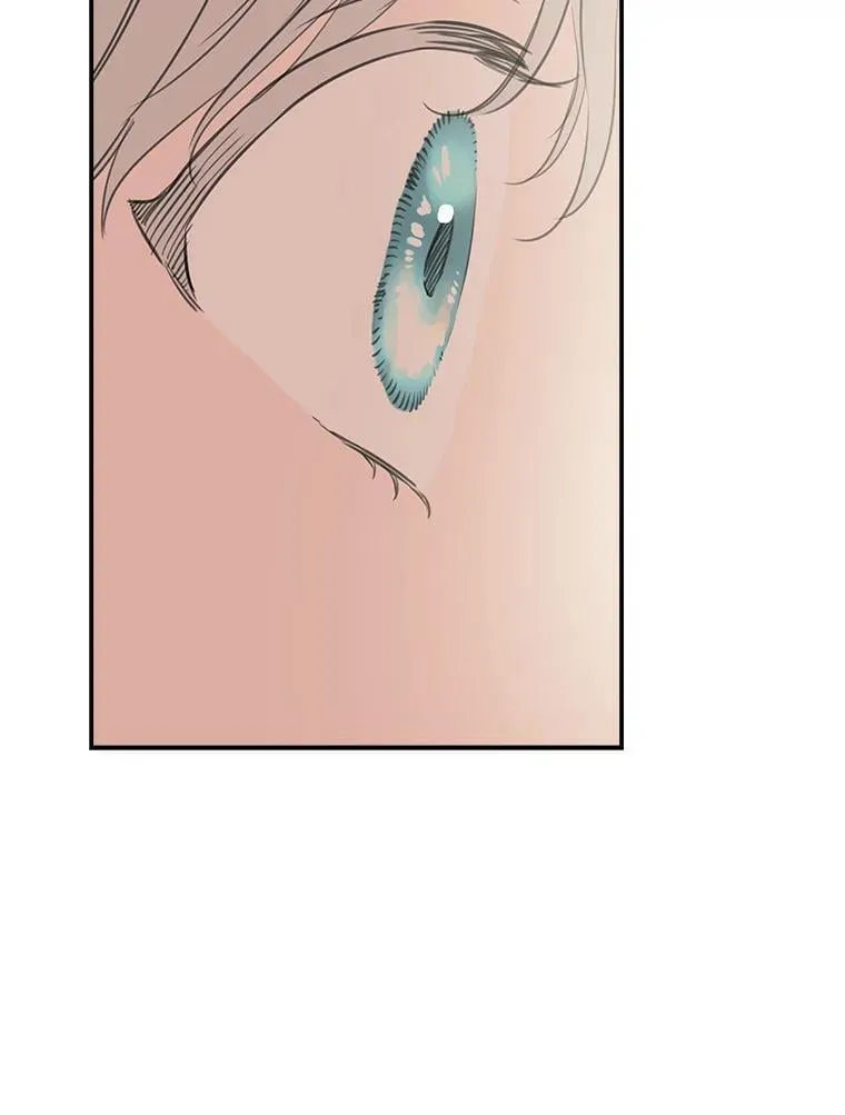 16.梦与现实 第66页