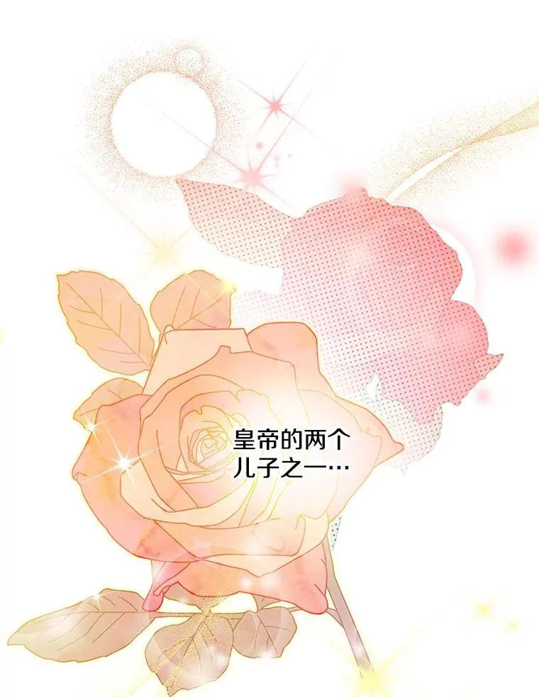 24.又见皇帝 第24页