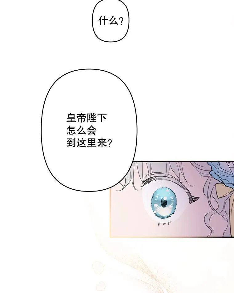 24.又见皇帝 第47页