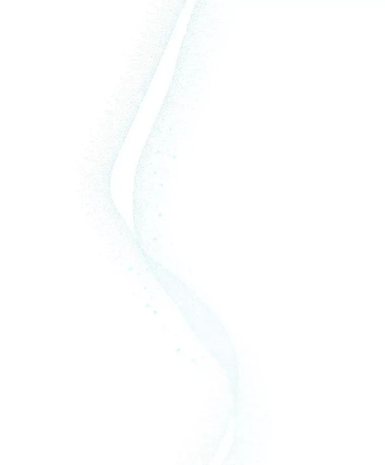 29.奇迹 第4页