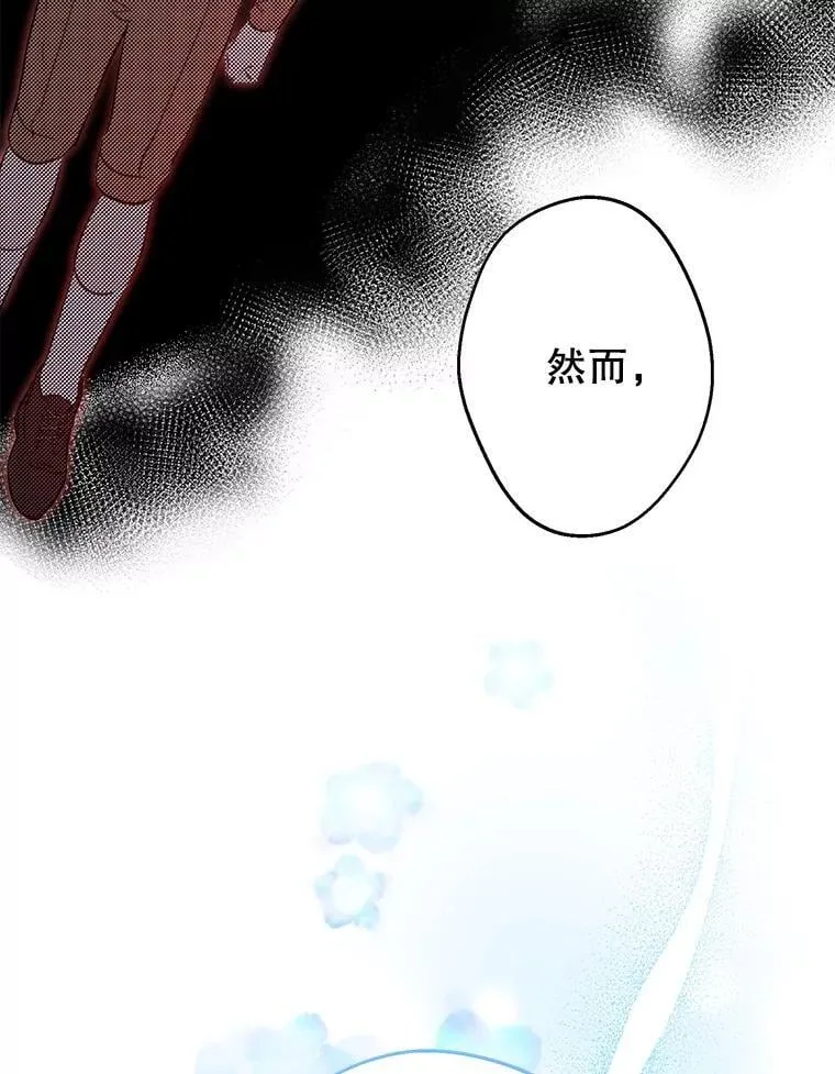 29.奇迹 第24页