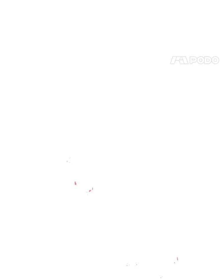 29.奇迹 第48页
