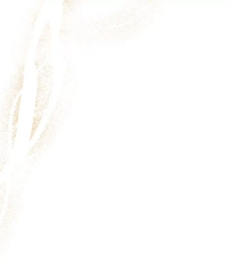 51.我的力量 第22页