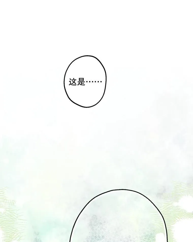 70.教皇 第12页