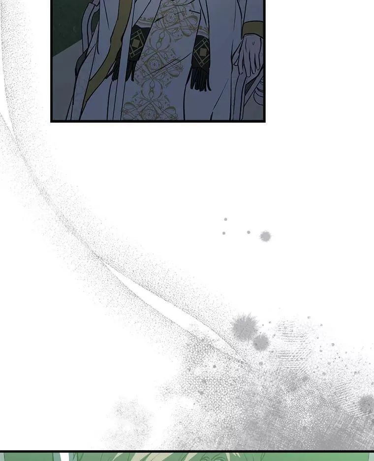 70.教皇 第75页