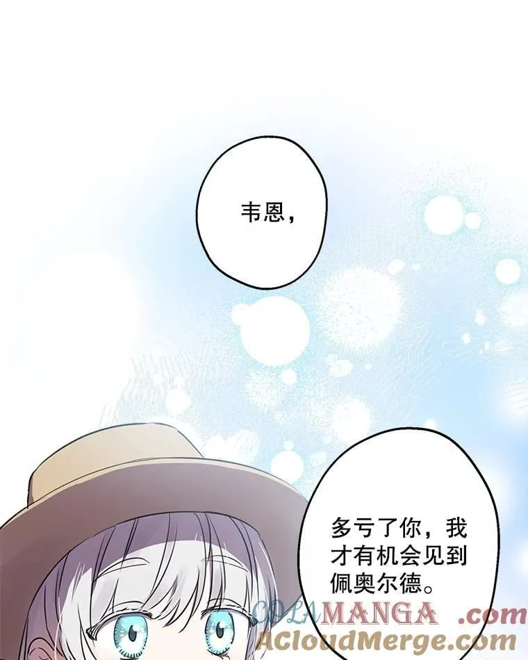 85.纹样立大功 第69页