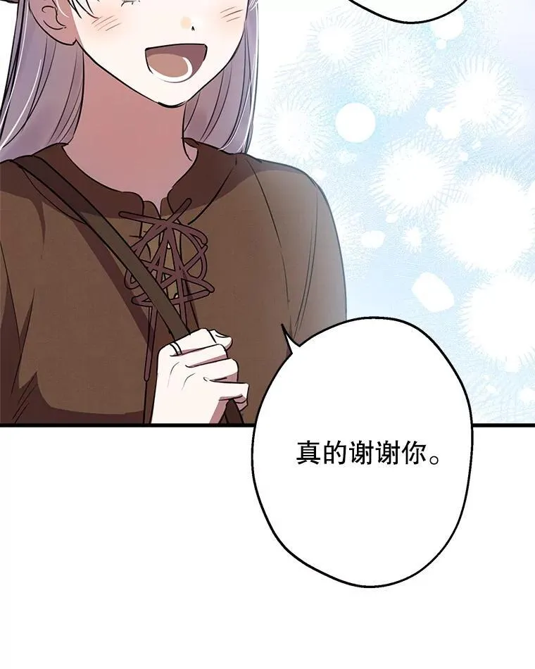 85.纹样立大功 第70页