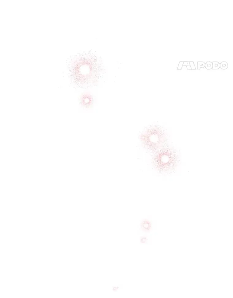 90.做我的女伴 第11页