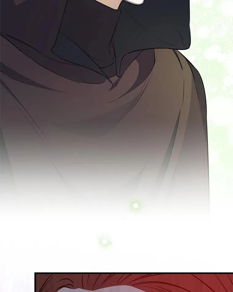 112.药水与利刃 第102页