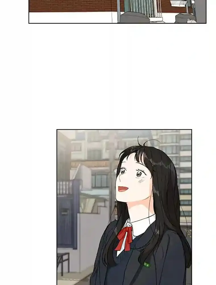 3.再次重逢的世界 第12页