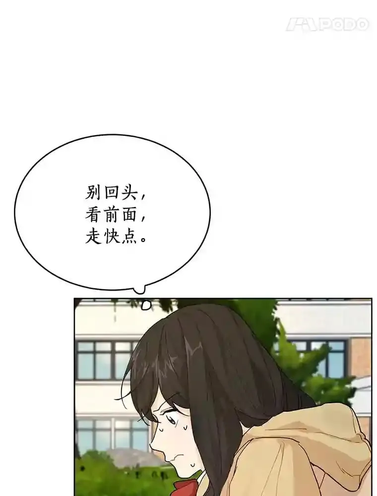 11.金春白 第47页