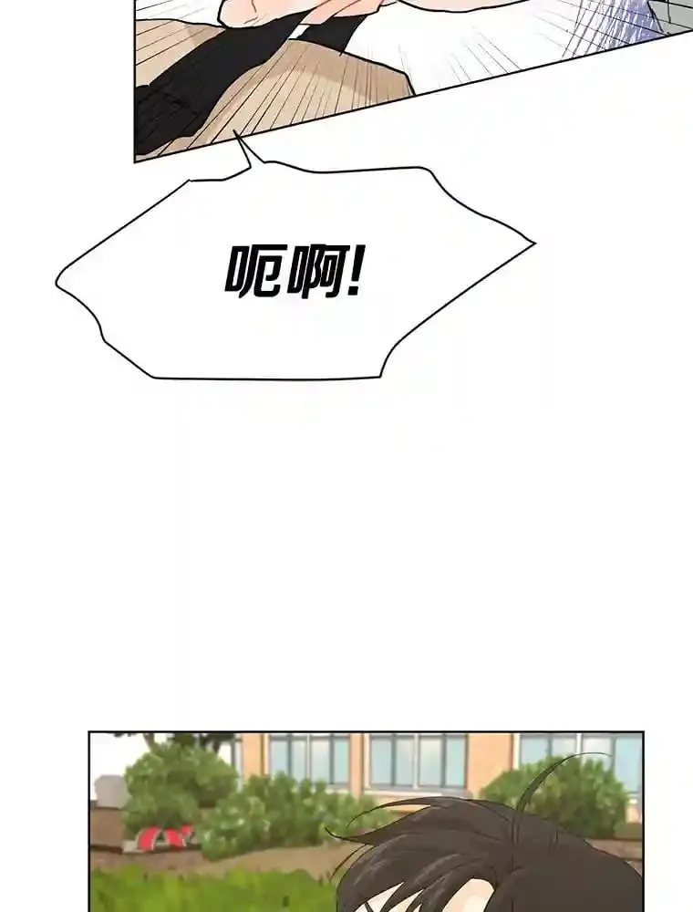 11.金春白 第49页