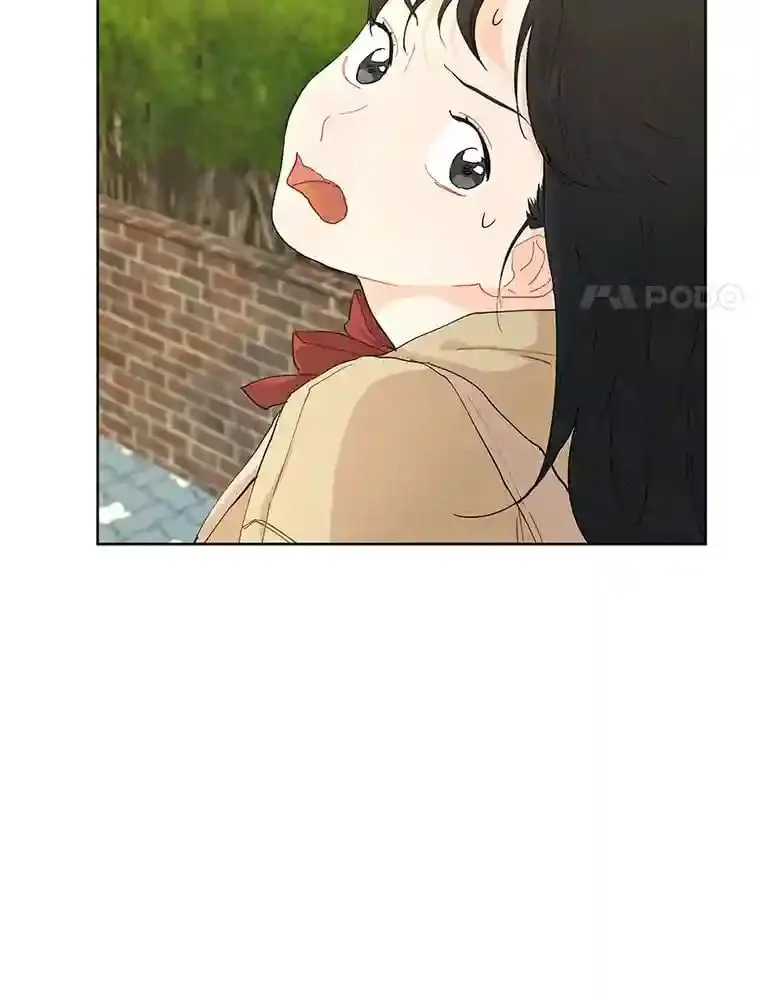 11.金春白 第50页