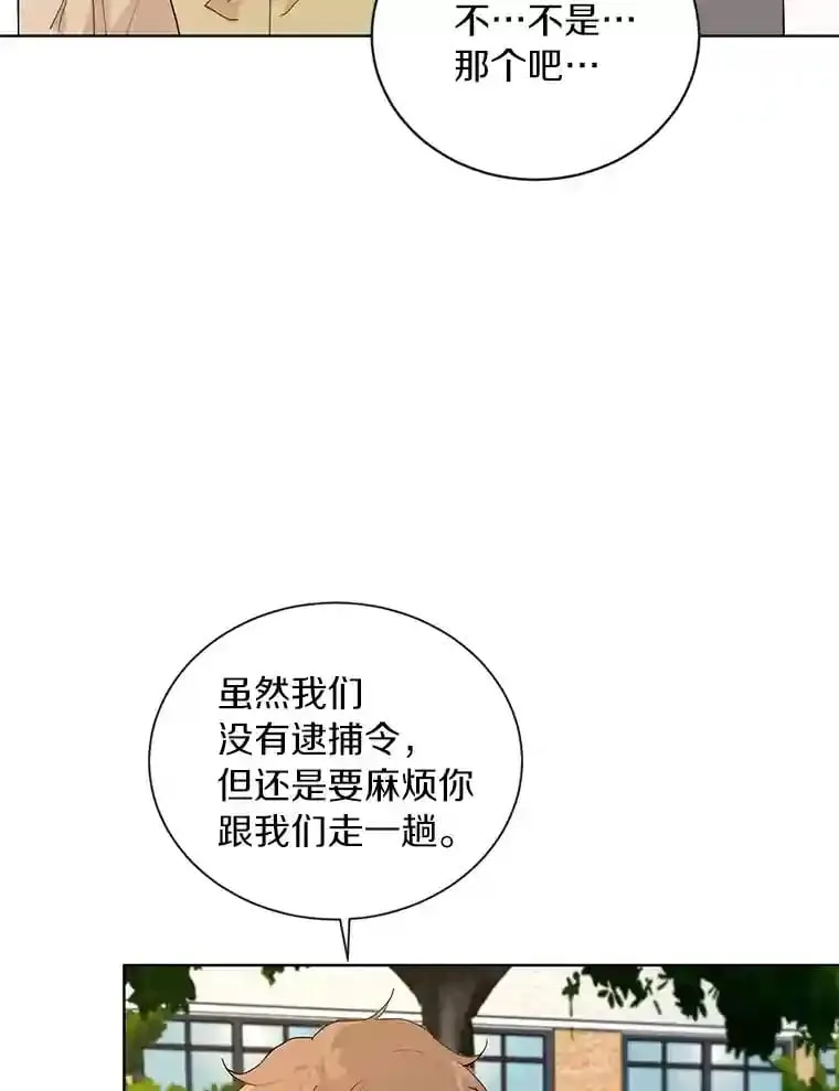 11.金春白 第55页