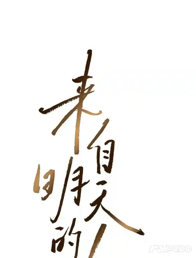 16.开始在意 第43页