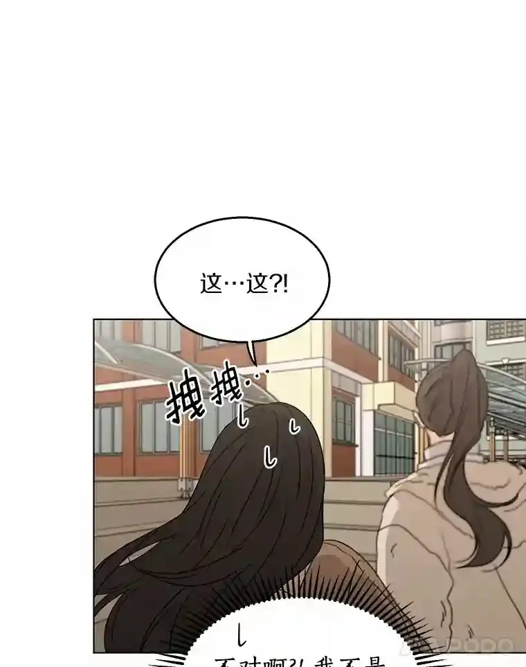 31.校庆日 第52页