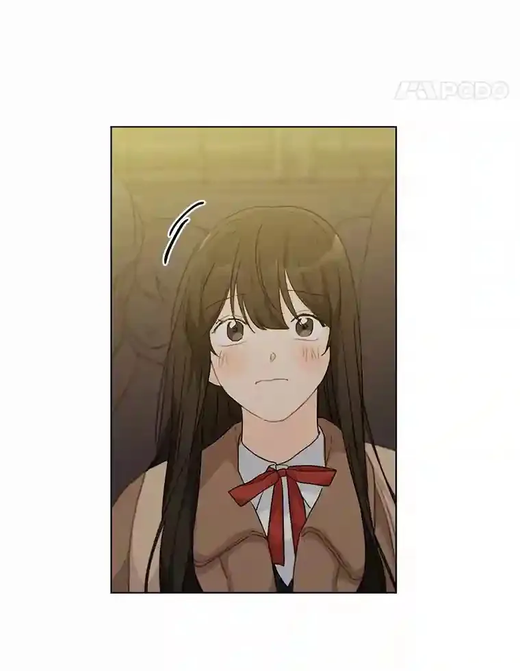 32.意外的选曲 第24页