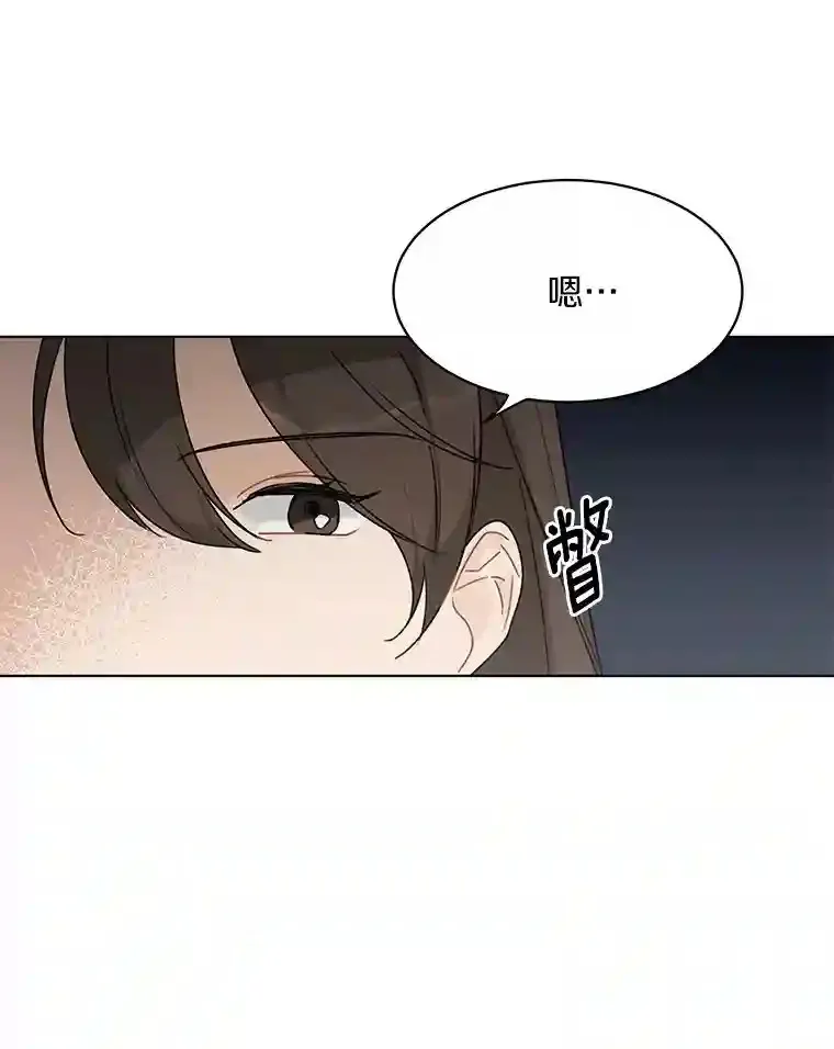 36.林瑟遇险 第29页
