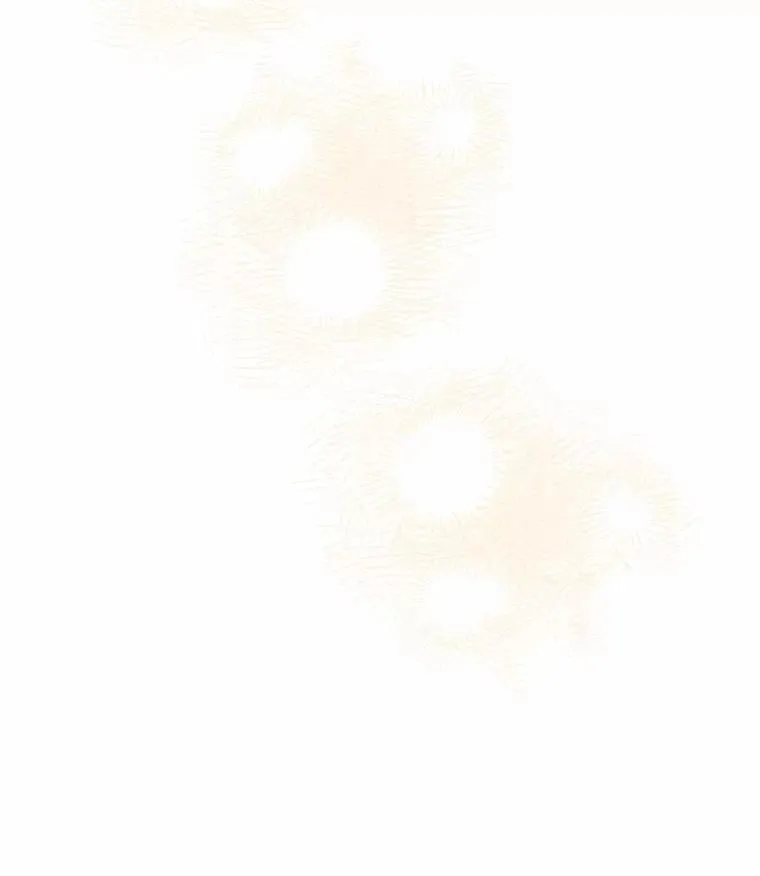 77.第一张合照 第85页