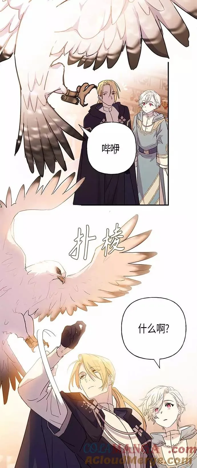 第21话 第13页