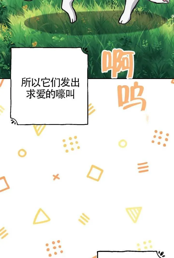 第49话 第91页